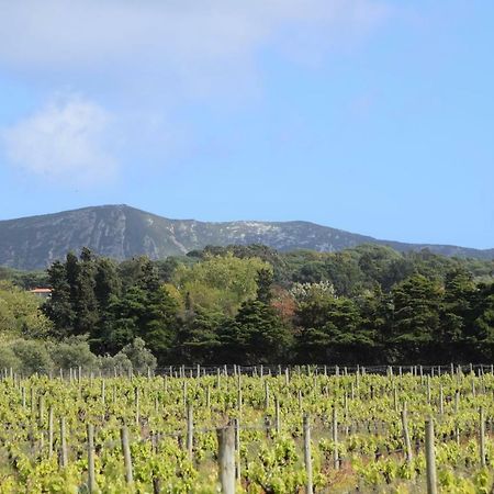 Quinta De Catralvos 호텔 아제이타오 외부 사진