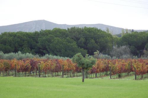 Quinta De Catralvos 호텔 아제이타오 외부 사진