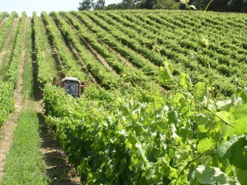 Quinta De Catralvos 호텔 아제이타오 외부 사진