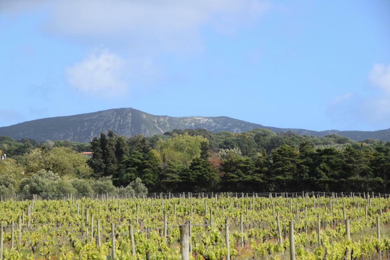 Quinta De Catralvos 호텔 아제이타오 외부 사진