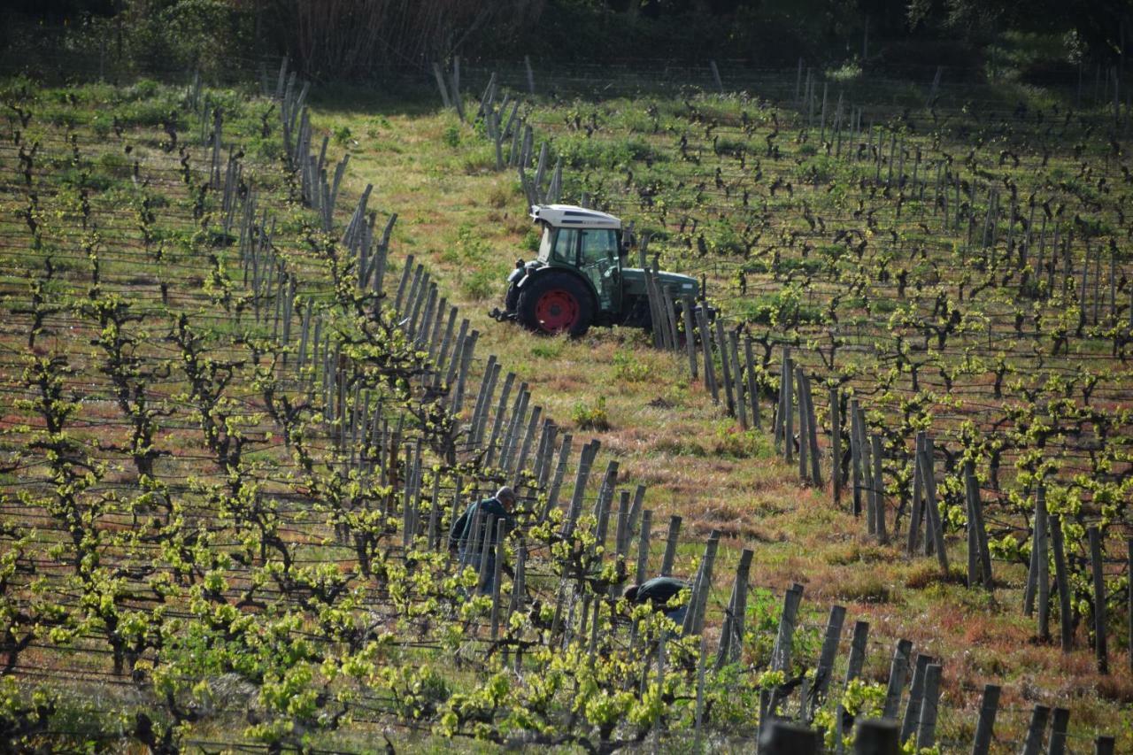 Quinta De Catralvos 호텔 아제이타오 외부 사진