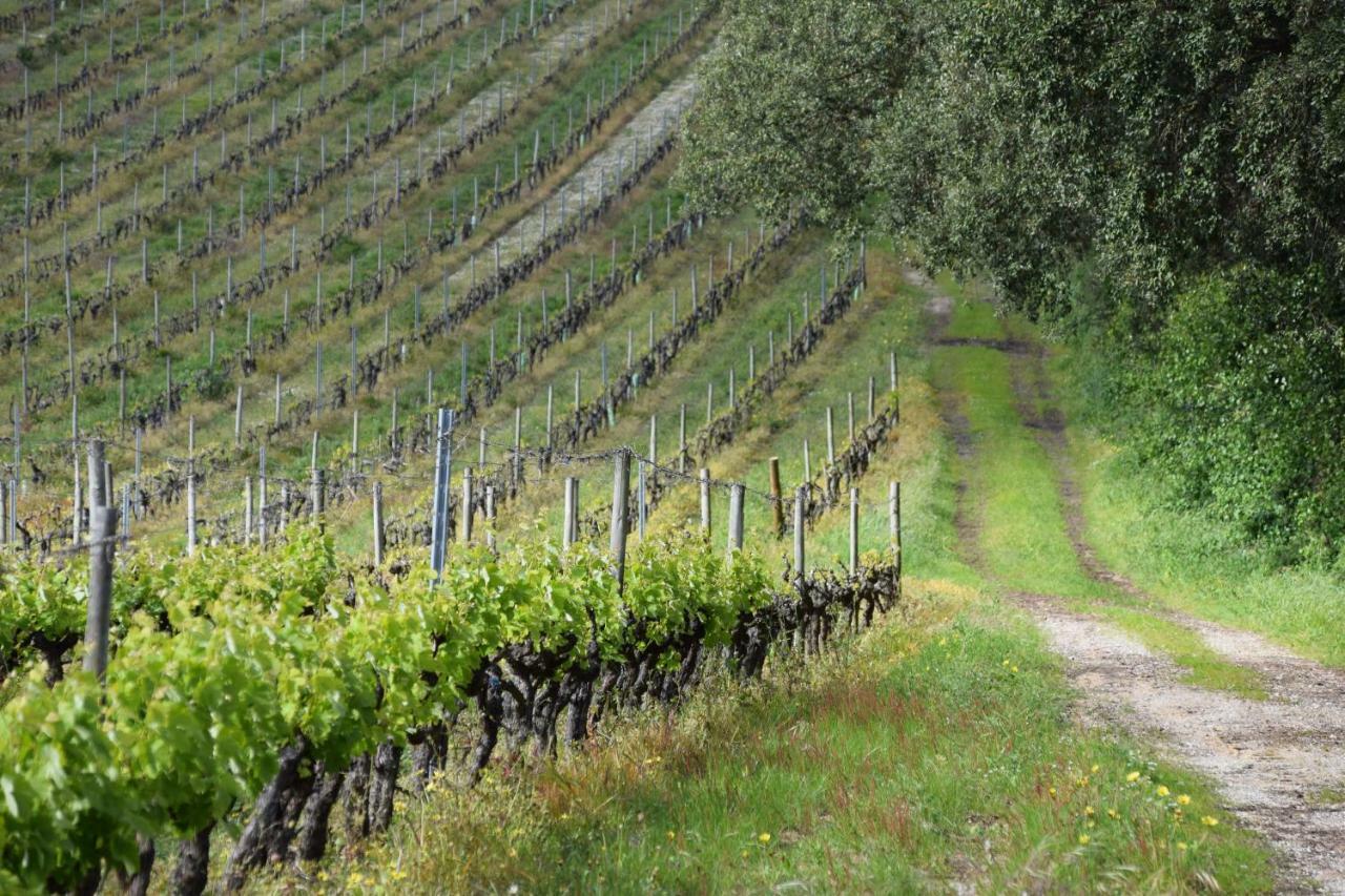 Quinta De Catralvos 호텔 아제이타오 외부 사진