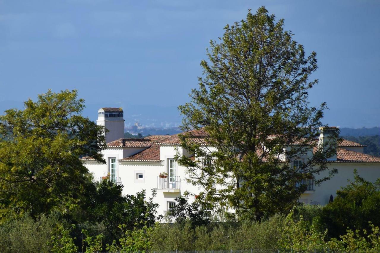 Quinta De Catralvos 호텔 아제이타오 외부 사진